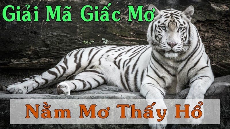Ý nghĩa trong hình ảnh con Hổ Ý nghĩa trong hình ảnh con Hổ